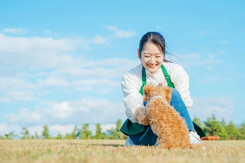 獣医師とトリマーが診療や施術をご提案