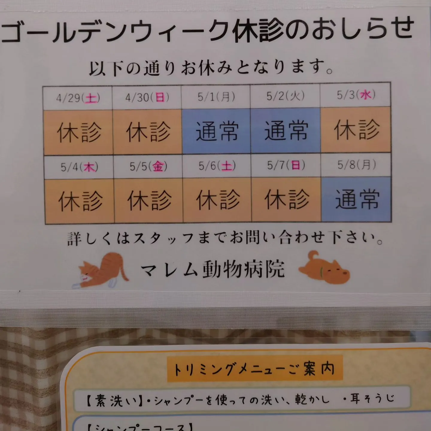 【GW】５月の休診【マレム動物病院】