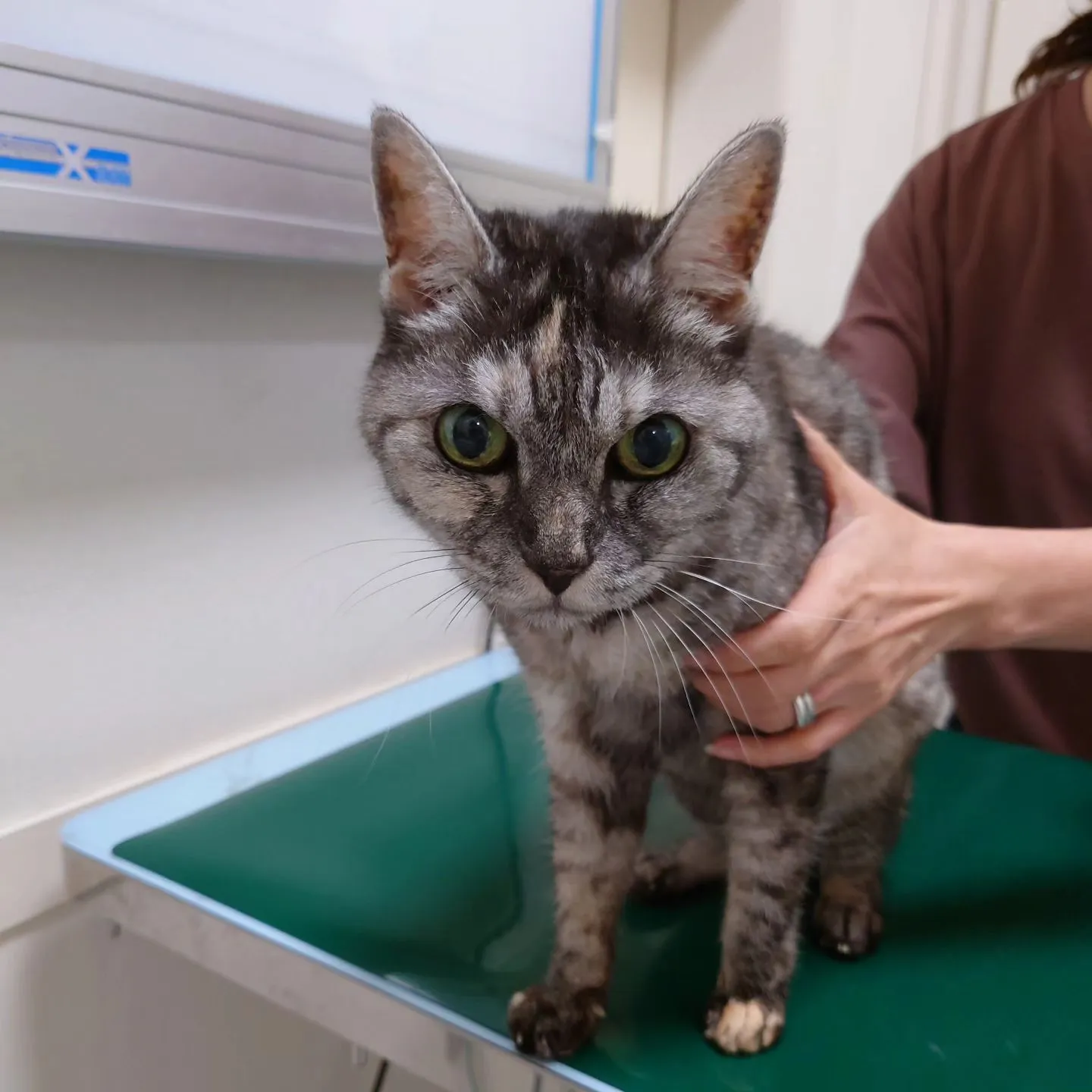 【診察】おめでとうございます【18歳】