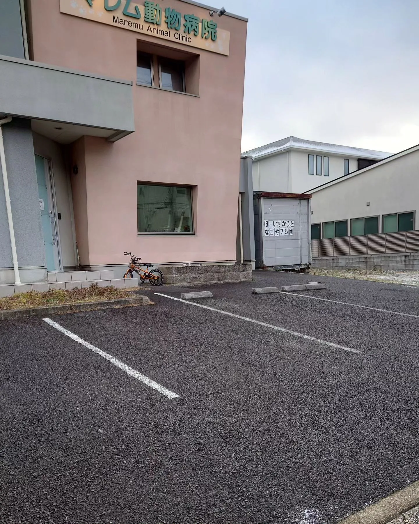 【診察】雪ありません。