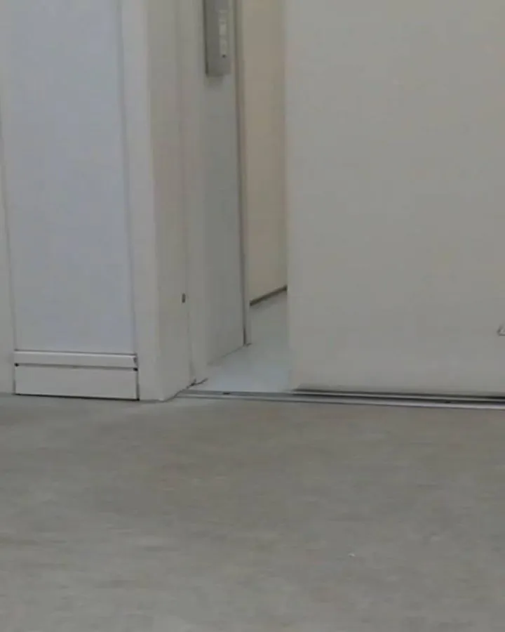 【トリミング】トイプードル【バリカン仕上げ】